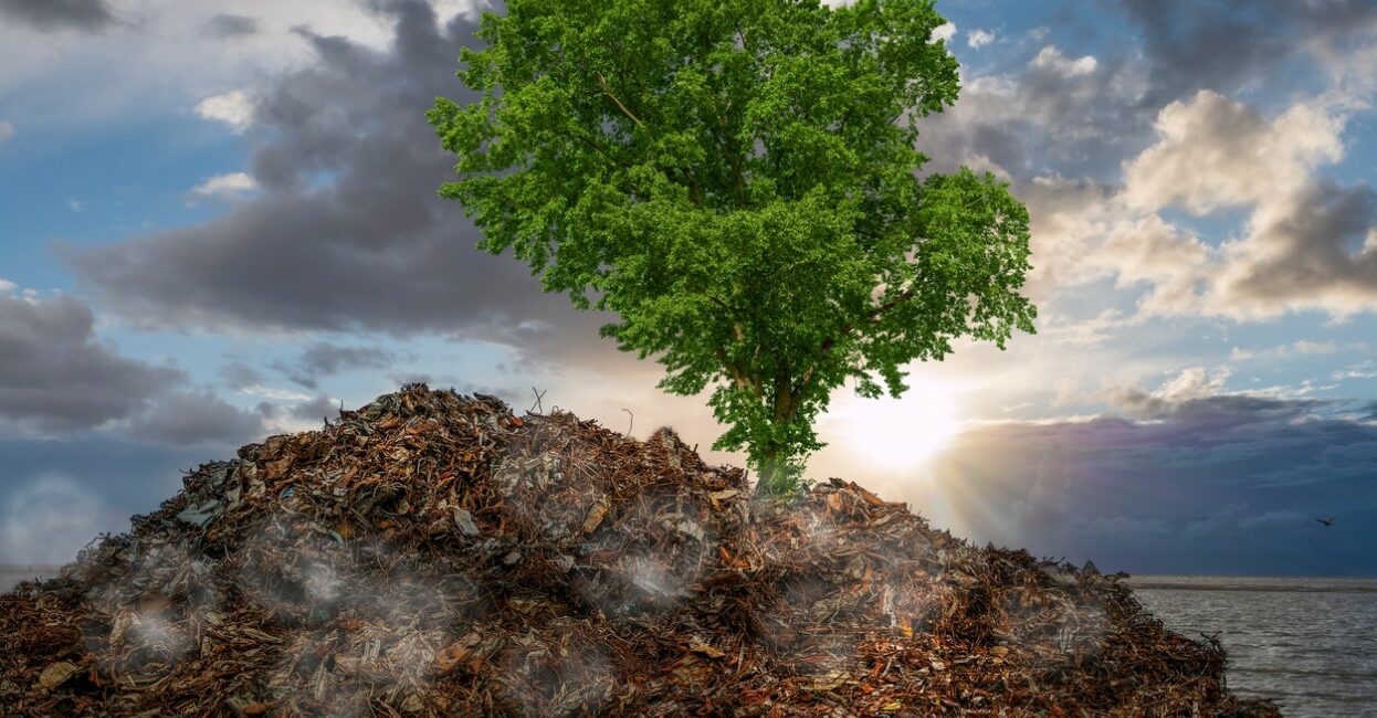 The Future of Scrap Metal Recycling - Trends to Watch in 2025 and Beyond - Clifton Metals